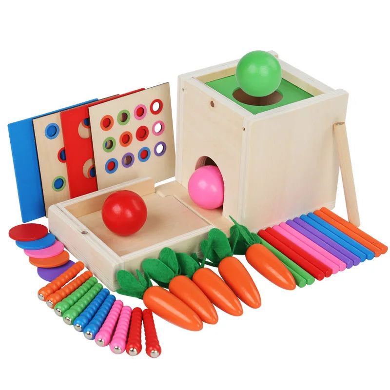6-in-1 Wooden Montessori Toy Kit