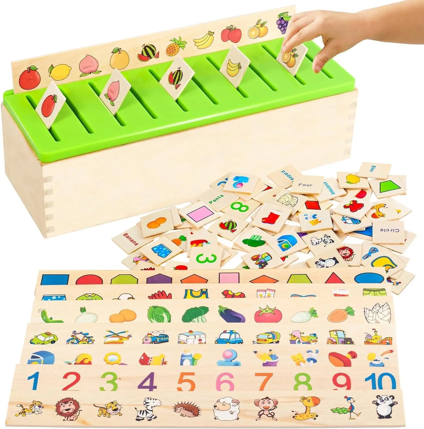Huggy Wooden Montessori Sorting Box