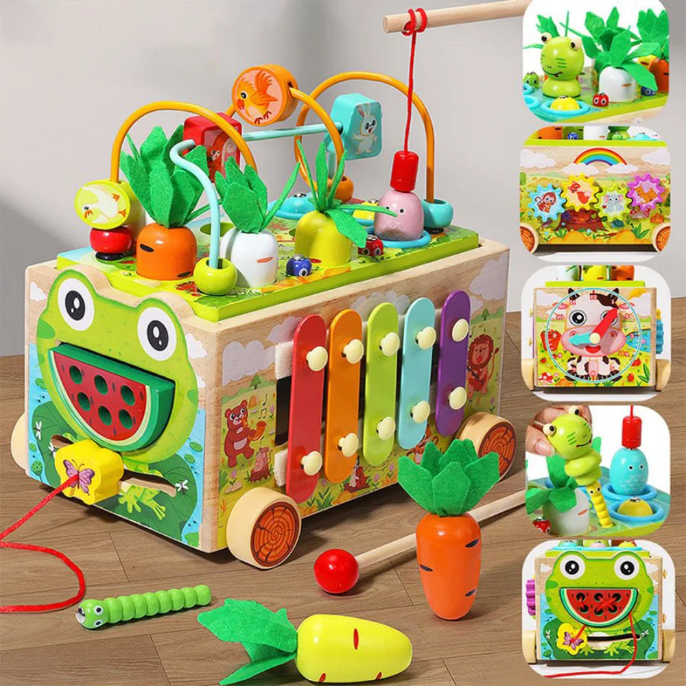 Montessori Matching Puzzle