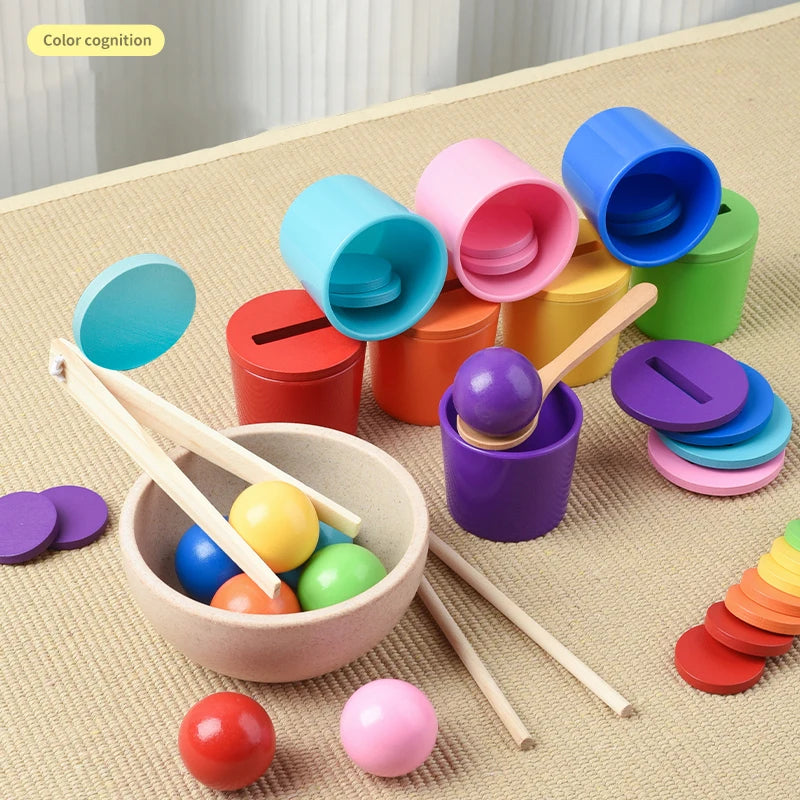 Montessori Wooden Color Matching