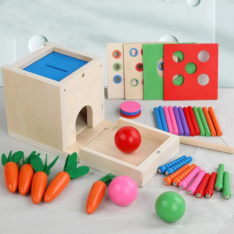 6-in-1 Wooden Montessori Toy Kit