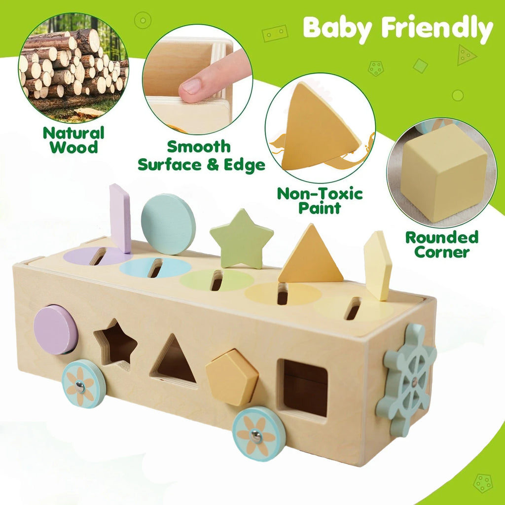Montessori Wooden Sorting Box