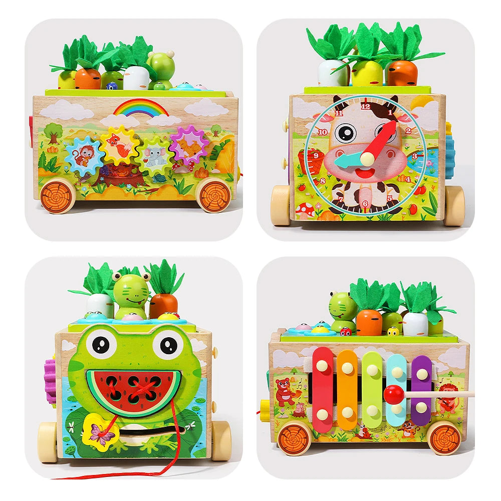 Montessori Matching Puzzle