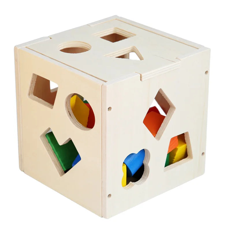 Huggy Montessori 3D Shape Sorting Box