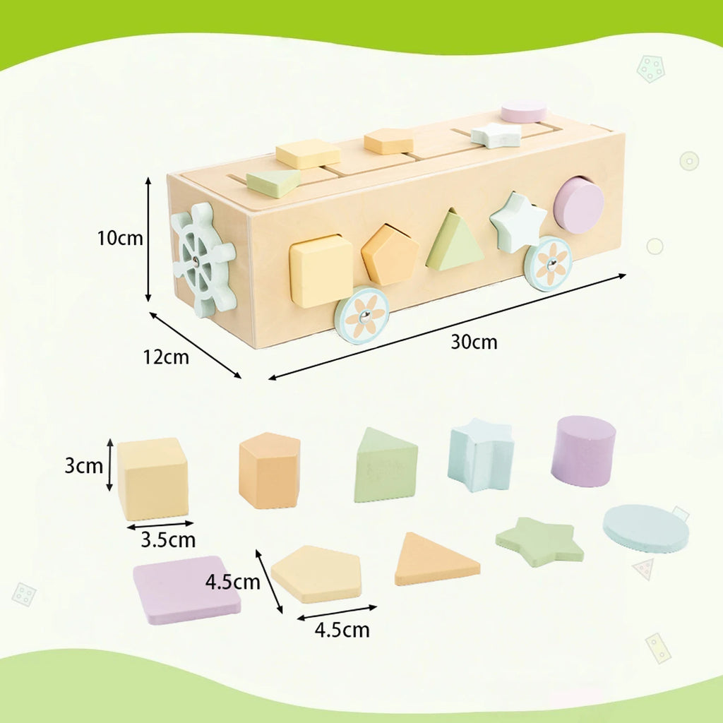Montessori Wooden Sorting Box