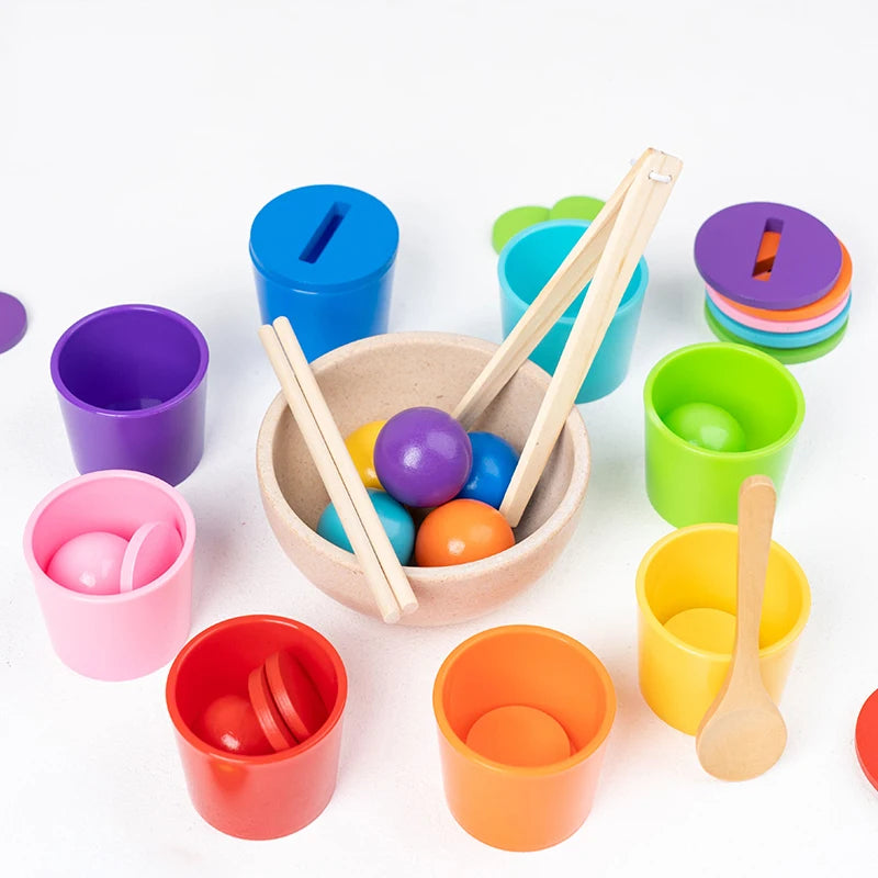 Montessori Wooden Color Matching